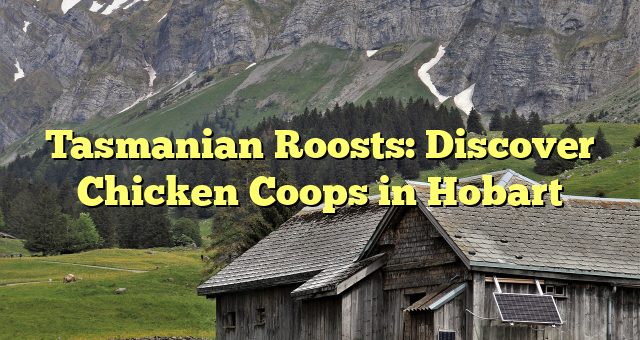 Tasmanian Roosts: Discover Chicken Coops in Hobart 